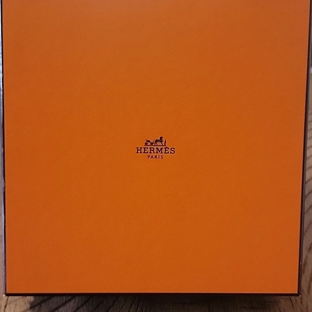 Hermes Orange Storage Box - box only